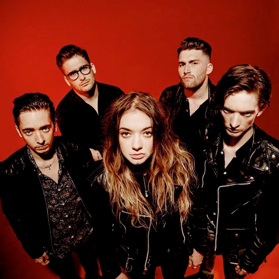 MARMOZETS